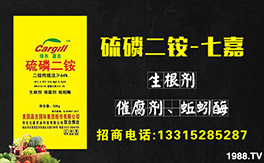 ���߼��r(n��ng)�I(y��)��ף������µ�һ�������w�������f��������