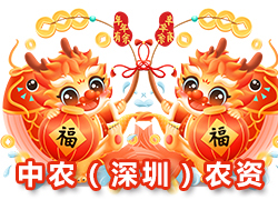 【中農(nóng)（深圳）農(nóng)資進(jìn)出口】祝愿大家如龍舞九天，事業(yè)有成步步高！