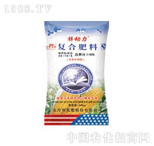 ʷ����-�\�����ͺϷ�