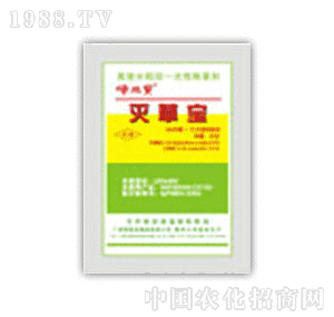 ��ʩ��-��݌�