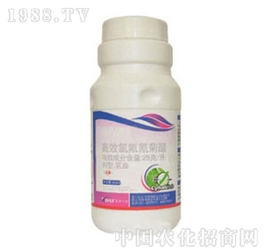 �S��-2.5%�ȷ����������