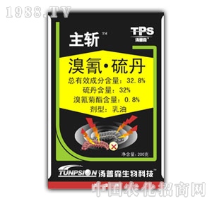 ����ɭ-����