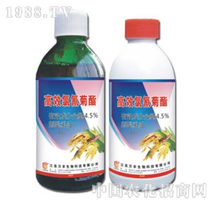 �f�S�r��-4.5%�������