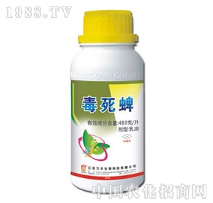 �f�S�r(n��ng)��-������