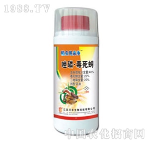 �f�S�r(n��ng)��-���x˦����