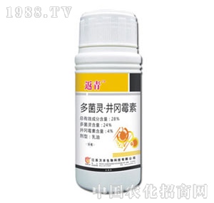 �f�S�r��-����