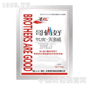 �Ͼ�һ��-��z��ʥ�t