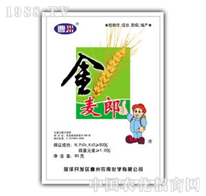 �����r(n��ng)��-������