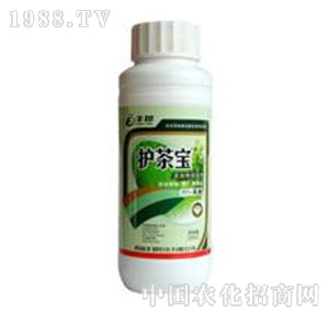 ���u�S��-�o�茚