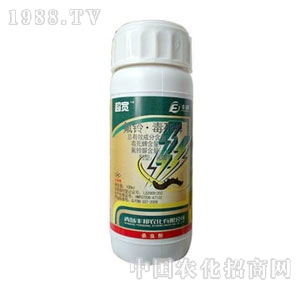 ���u�S��-����