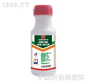 ����-����