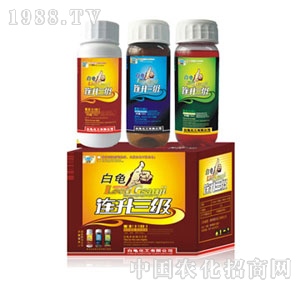 ����-�B������