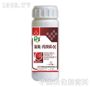 �J��-�ȷ�������