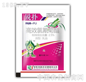 �J��-�J��1+1