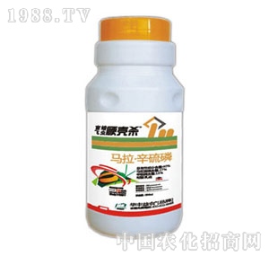 �A�S���r-ä���w�xӲ����