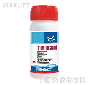 �A�S���r-�������x��