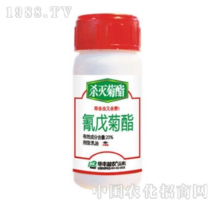 �A�S���r-��������������