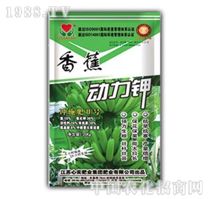 �Č�(sh��)-�㽶�����