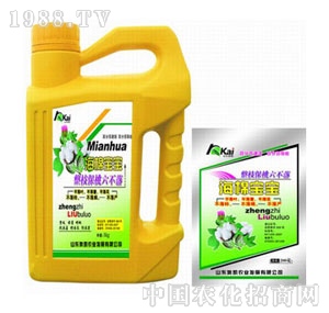 �W�P-���d����