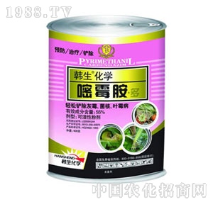 �W�P-��ø����