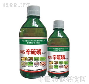 ���G�̌�-40%������