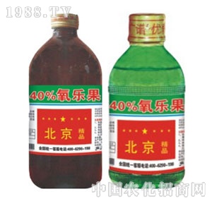 ���G�̌�-40%����(l��)��