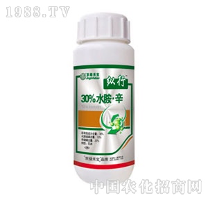 ���G�̌�-�v��