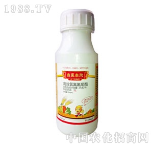 �������-���Ǹ���