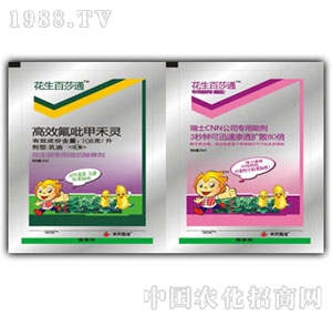 �������-������ɯͨ