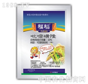 �������-����