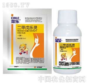 �������-�˘�