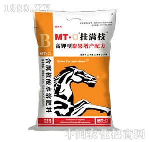 MT-�ڒ�M(m��n)֦