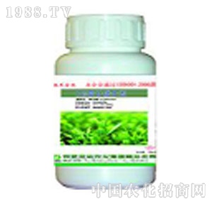 �S���r(n��ng)��-�ݸ��