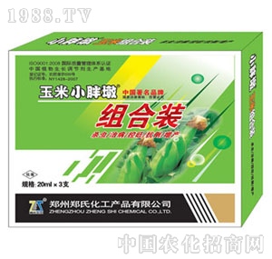 С�ֶ����׽M���b