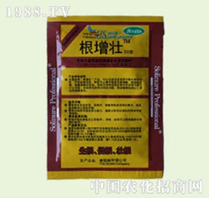 �̴T�S-������