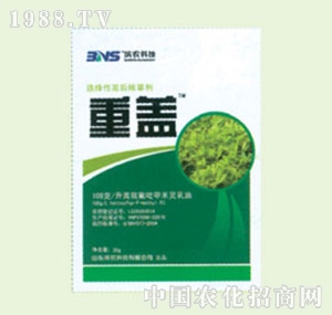 �̴T�S-���w