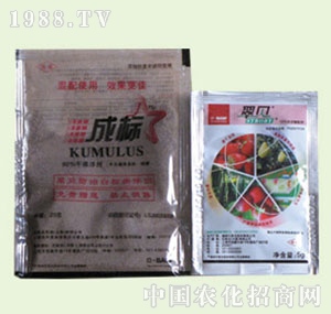 �̴T�S-��ؐ+�ɘ�(bi��o)