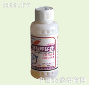 �̴T�S-���Ѽ׭h(hu��n)��