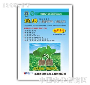 �����������������݌���