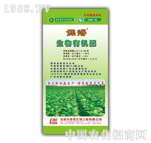 6%�����ЙC�ʣ����݌��ã�