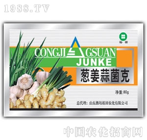 ��ԣ����-�[�������