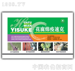 ��ԣ����-�����d���ٿ�