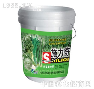 ��ԣ����-ʩ�����~�ˌ���