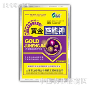 ��ԣ����-�S������