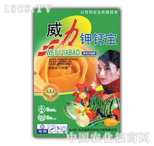 ��ԣ����-������}��