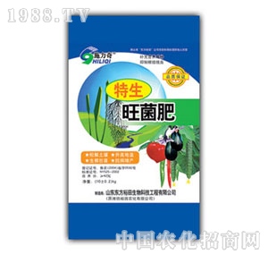 ��ԣ����-����������