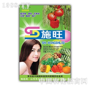 ��ԣ����-ʩ��