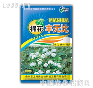 ��ԣ����-�޻��S�o(w��)��