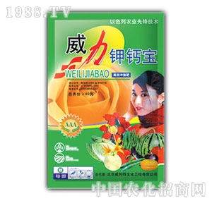 ��ԣ����-������}��