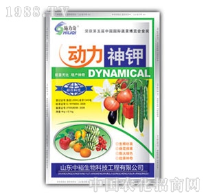 ��ԣ����-��(d��ng)�����